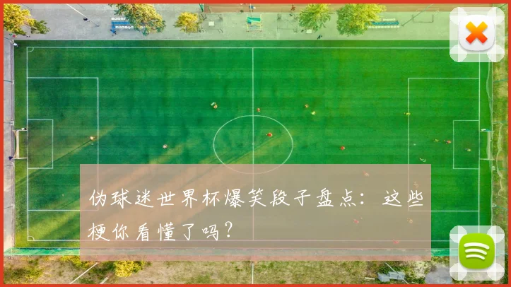 伪球迷世界杯爆笑段子盘点：这些梗你看懂了吗？